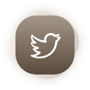 （推特Twitter）  高质量 | 送教程 | 安全稳定 | 永久独享